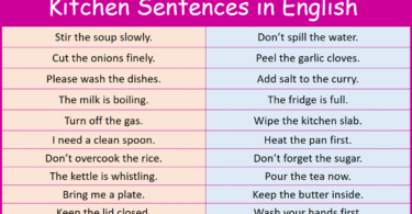 100 Negative Sentences Examples in English with Pictures
