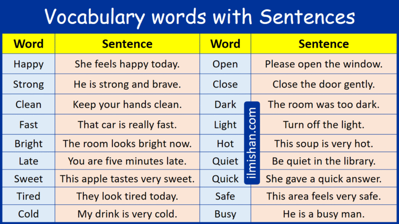 100 Vocabulary words with Sentences in English and Pictures