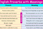 Common 80 English Proverbs with Meanings and Pictures