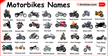Different Types of Motorbikes Names with Their Pictures