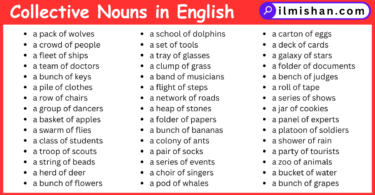 List of 99 Collective Nouns in English with Pictures format