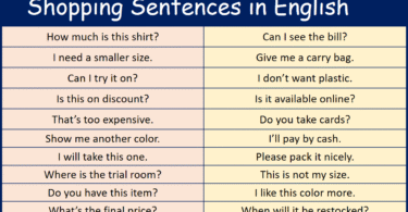 Most Common Shopping Sentences in English with Pictures