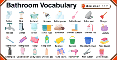 Bathroom Vocabulary in English with Their Pictures