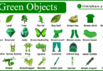 Green objects Names For kids with Pictures
