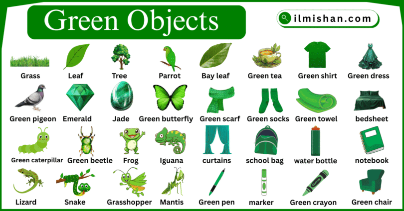 Green objects Names For kids with Pictures