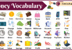 Money vocabulary words with Their Pictures