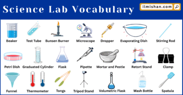 Science Lab Vocabulary in English with Pictures