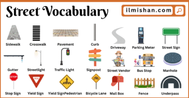 Street Vocabulary words in English with Pictures