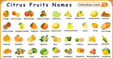 Citrus Fruits Names in English with Their Pictures