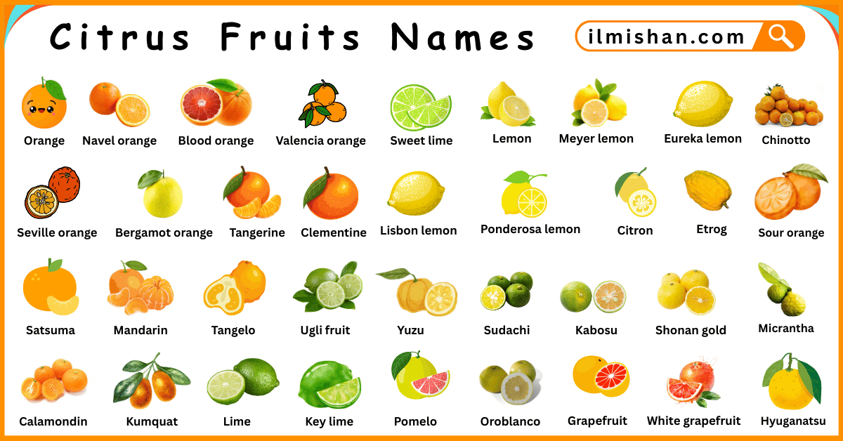 Citrus Fruits Names in English with Their Pictures