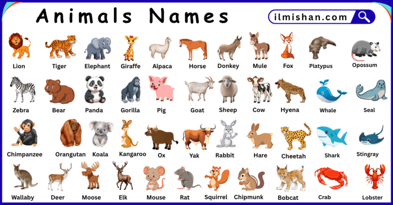 List of Animals with Names and Their Pictures