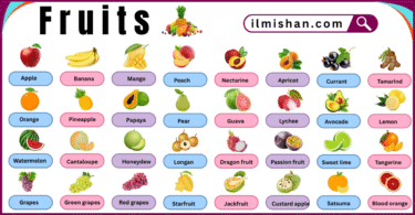 List of all fruits names in English with pictures