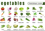 List of all vegetables in English with Pictures