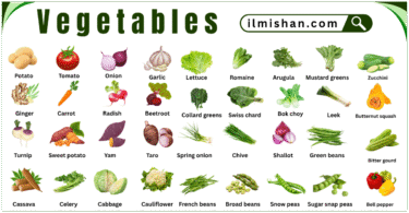 List of all vegetables in English with Pictures