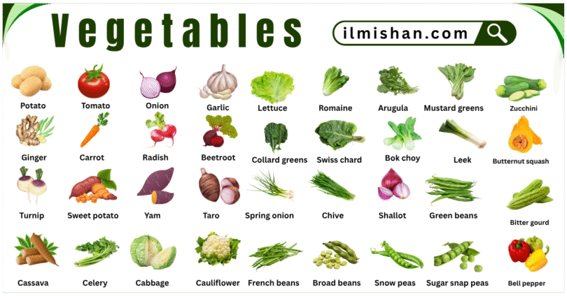List of all vegetables in English with Pictures