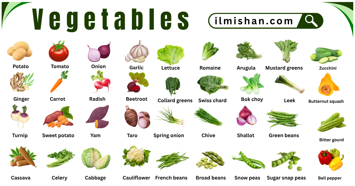 List of all vegetables in English with Pictures