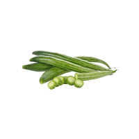 Ridge Gourd | List of Green Fruits in English