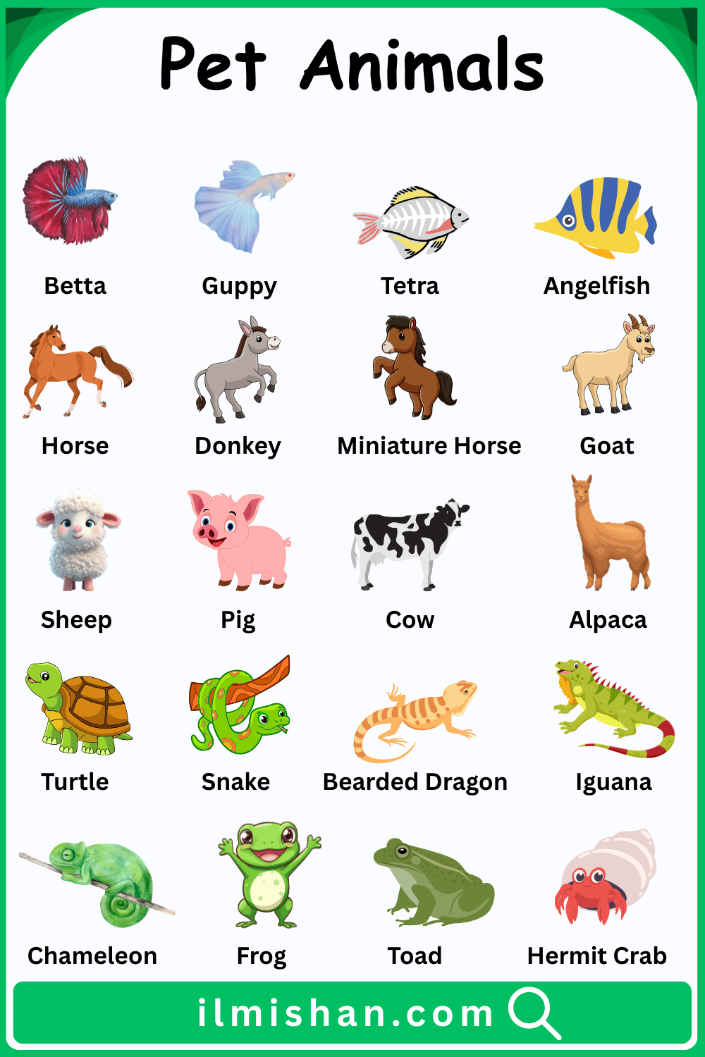 60 Pet Animal Vocabulary Word and Pictures