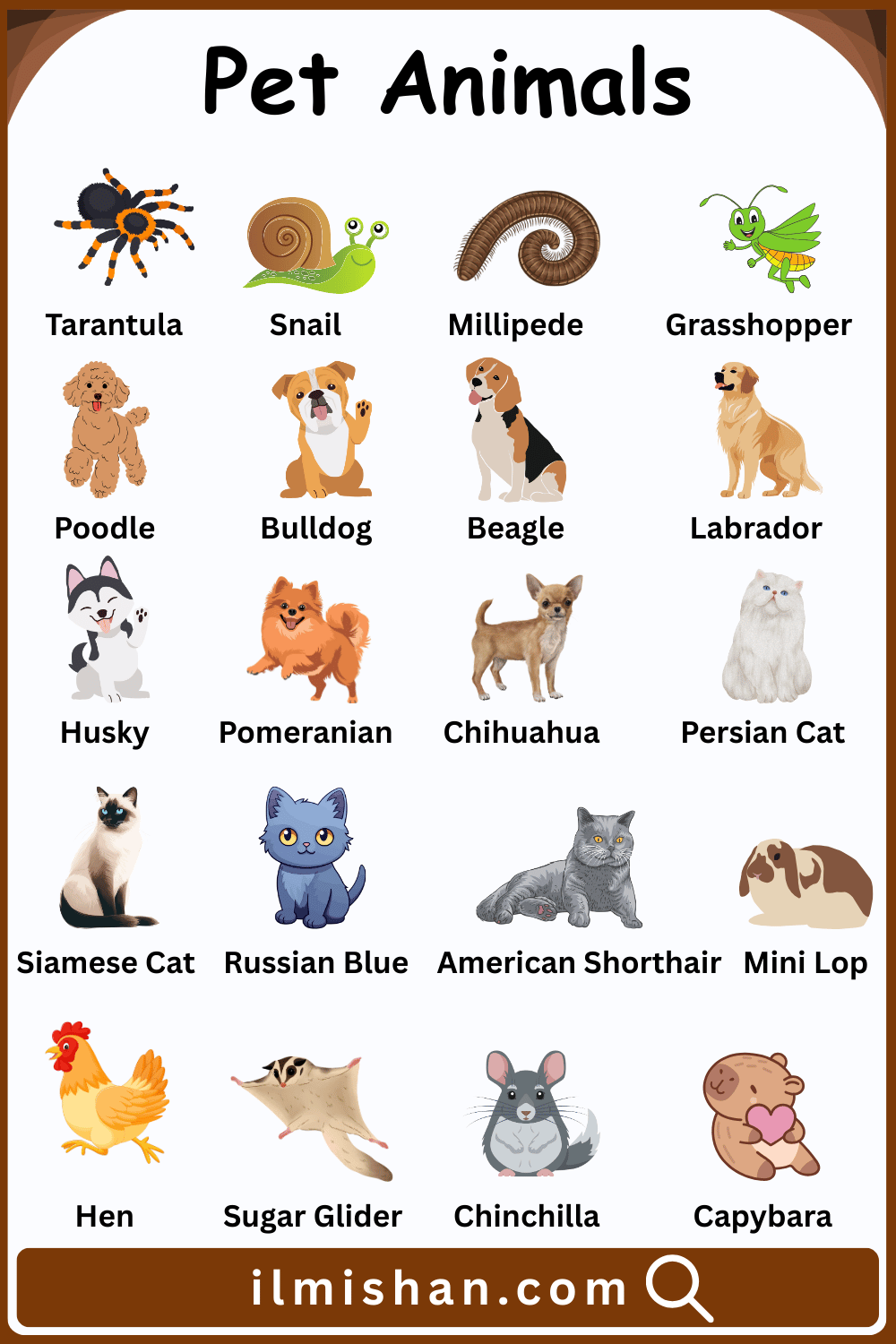 Animal Vocabulary Words in English and Pictures