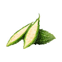Bitter Gourd | List of Green Fruits in English