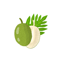 Breadfruit | List of Green Fruits in English