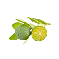 Calamansi | List of Green Fruits in English