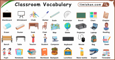 Classroom Vocabulary Words in English and Pictures