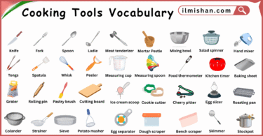 Cooking Tools Vocabulary Words in English and Pictures