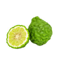 Desert Lime | List of Green Fruits in English
