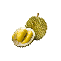 Durian | List of Green Fruits in English