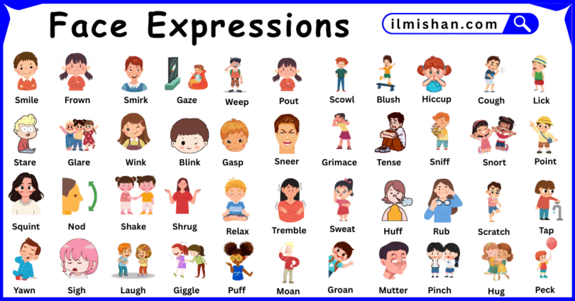 Face Expressions vocabulary Words in English and Pictures