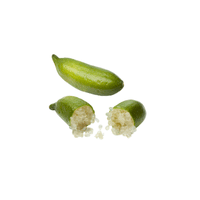 Finger Lime | List of Green Fruits in English