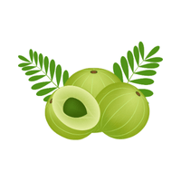 Gooseberry | List of Green Fruits in English