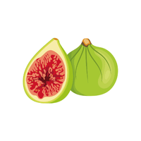 Green Fig