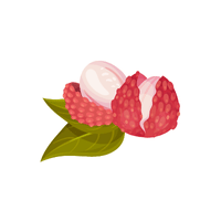 Green Lychee | List of Green Fruits in English