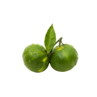 Green Mandarins