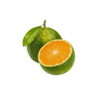 Green Orange | List of Green Fruits in English