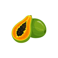 Green Papaya