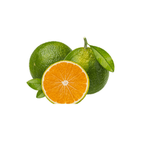 Green Tangerine