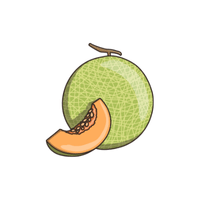 Honeydew Melon