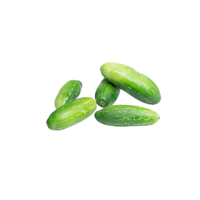 Ivy Gourd | List of Green Fruits in English
