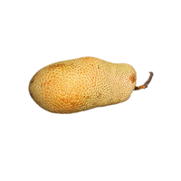 Jackfruit | List of Green Fruits in English