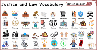 Justice and Law Vocabulary words in English and Pictures