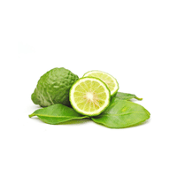 Kaffir Lime | List of Green Fruits in English
