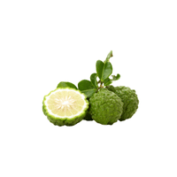 Kaffir Plum | List of Green Fruits in English