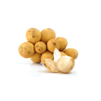 Langsat | List of Green Fruits in English