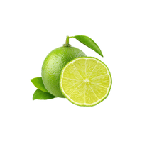 Lime | List of Green Fruits in English