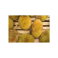 Marang Fruit
