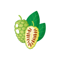 Noni Fruit | List of Green Fruits in English