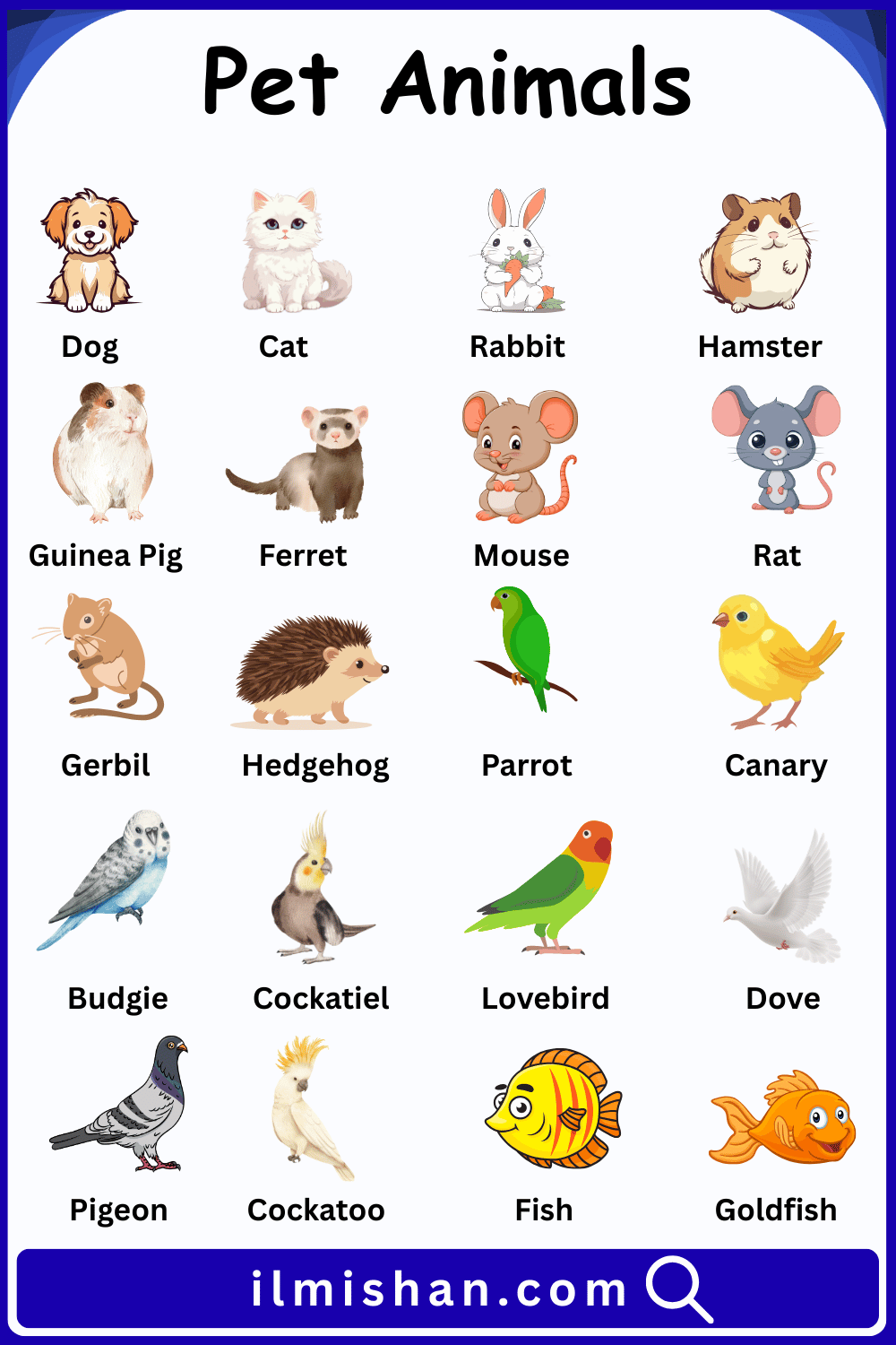 Pet Animals Vocabulary Words and Their Pictures